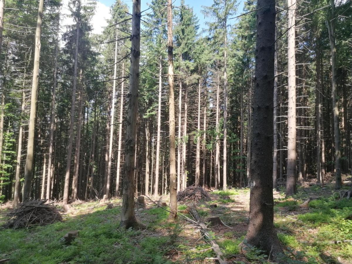 Apartamento Zakatek Dorimaks Zawoja Exterior foto